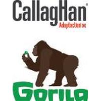 Franquicias Callaghan / Gorila Calzado - Complementos