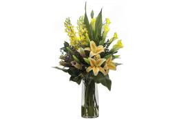 Franquicia Floral Image