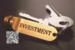 Franquicia Vector Investment