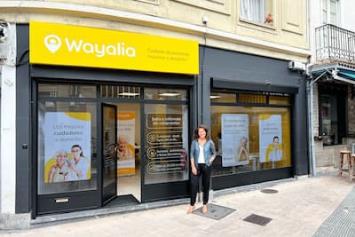 Wayalia: Oportunidad de Negocio en un Sector en Expansión con Gran Potencial de Crecimiento