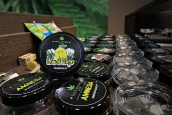 Nuevas Aperturas de The Cannabis Shop y The Cannabis Gelato