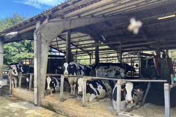 Eroski conmemora una década de su leche de marca propia de proximidad