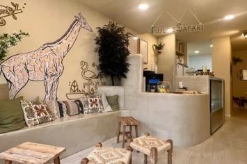 Dulce Safari