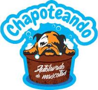Franquicia Chapoteando