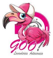 Franquicias Lavanderías Autoservicio Goo! Lavanderías autoservicio