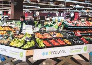 franquicias de alimentación más rentables